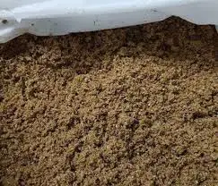  Пиво остатки Высокое качество Хорошая цена экспорт из Вьетнама/Лани + 84969331308 ( Wechat / Whatsapp)