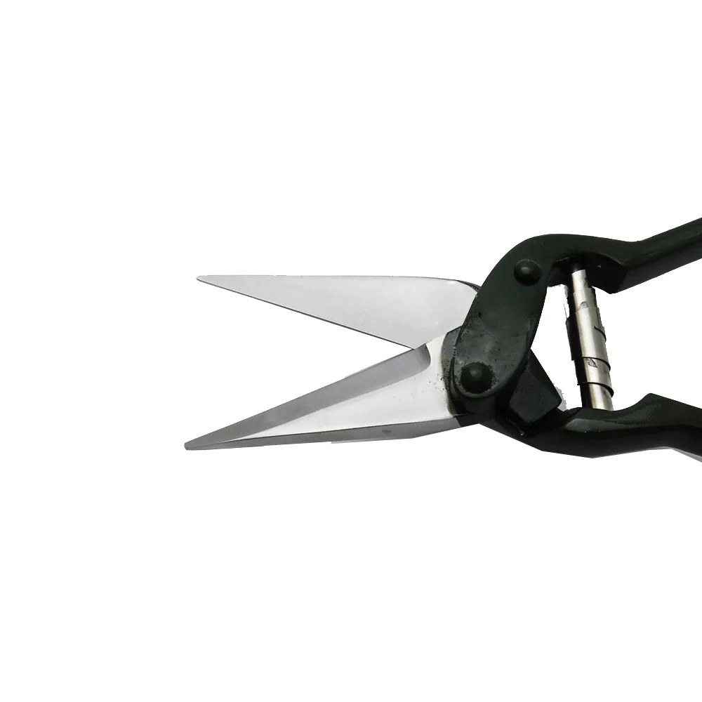 Top Quality Stainless Steel Sheep Hoof Care Customized Color Handle Hoof Trimmer Battles Foot Rot Shears heavy duty