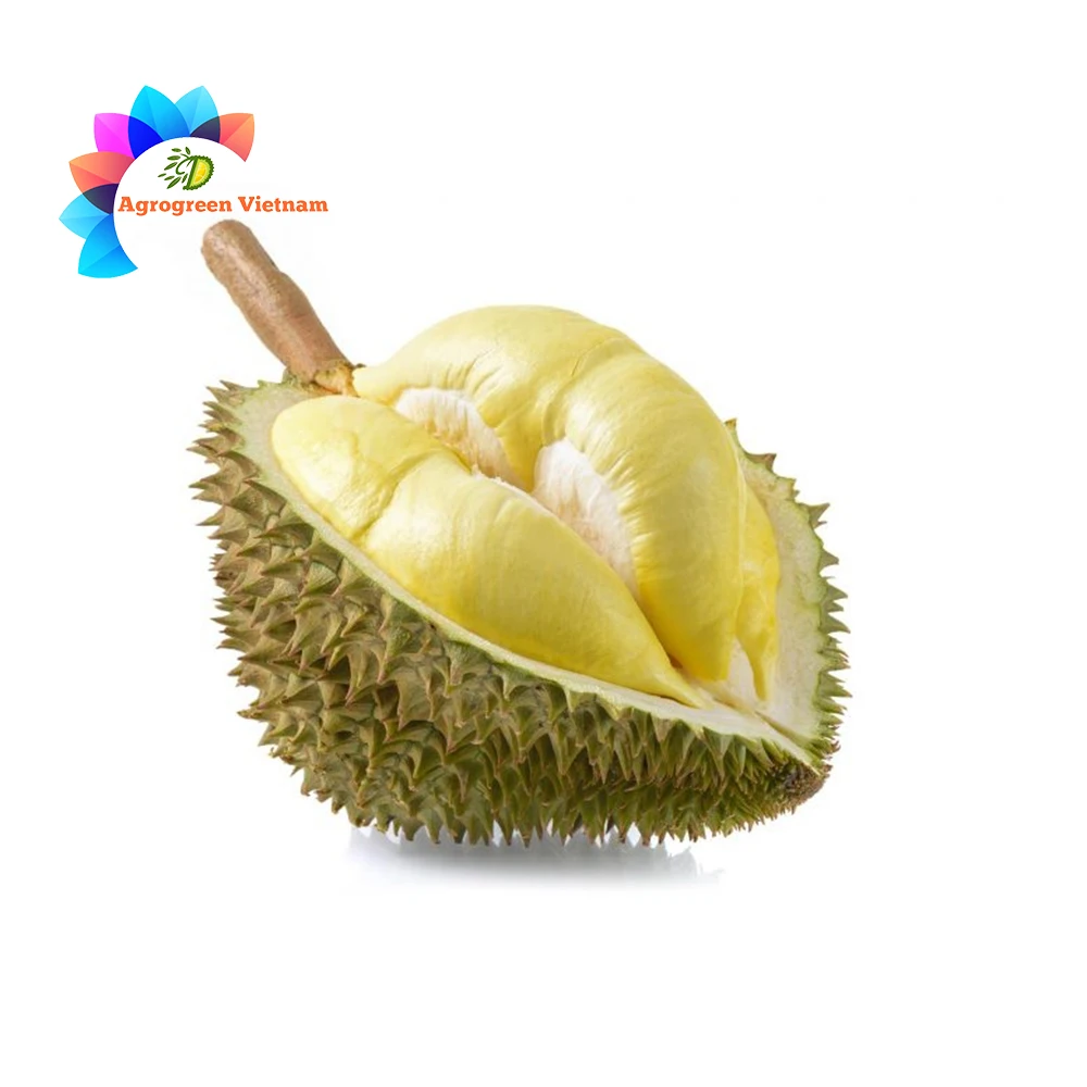 Premium Quality Frozen Durian Fruit From Vietnam Farmer Grow Bulk