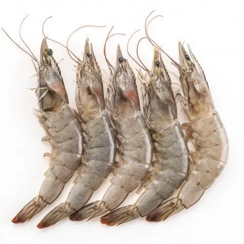 Whole Price Fresh Black Tiger Prawns Shrimp Red Shrimp
