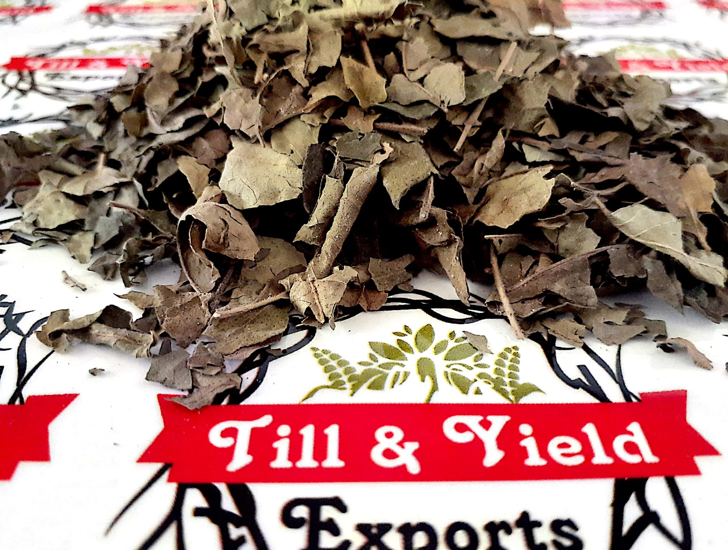 Premium Indian Origin Herbs Gymnema sylvestre - Gudmar - Gudmar Tbc Tea cut size 0.5-4mm high Quality Tea