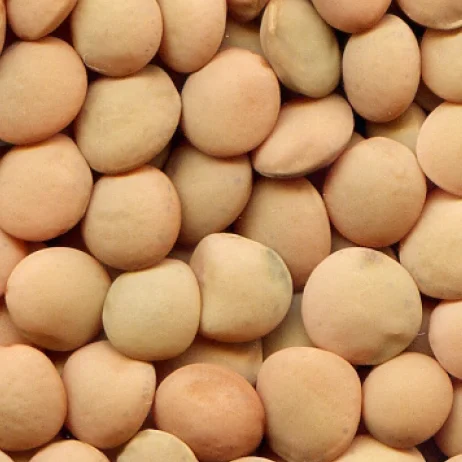 
Flash - Australian Medium Red Lentils 