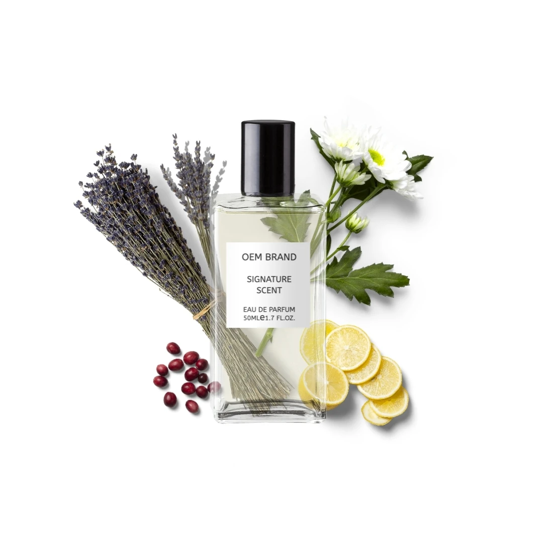 
Wholesale OEM Your Signature Scent Perfume for Men Supplier Relaxing Perfume 50ML 