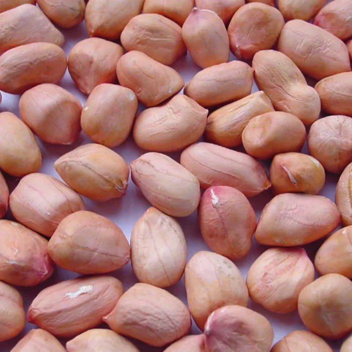 High Quality Blanched Peanut Kernels