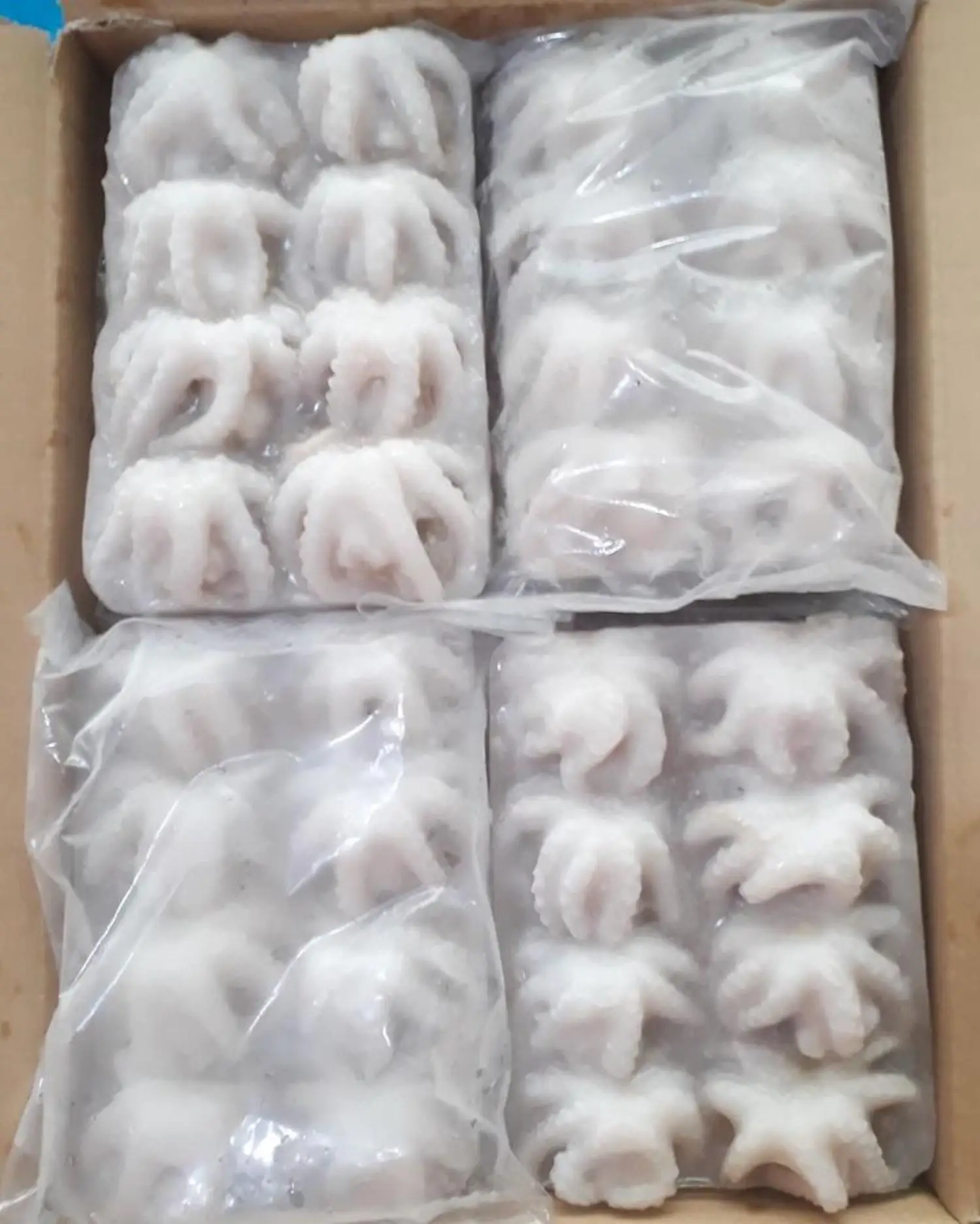 Good quality cheap price IQF Frozen baby octopus for sale