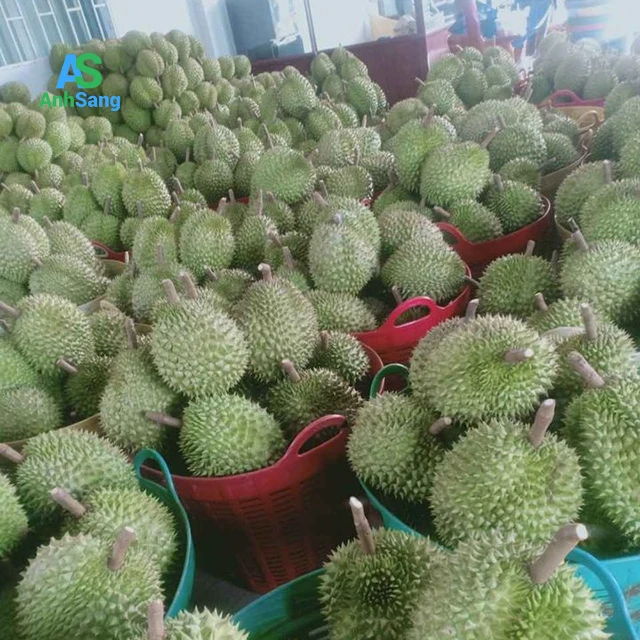  Свежий дуриан экспорт китай