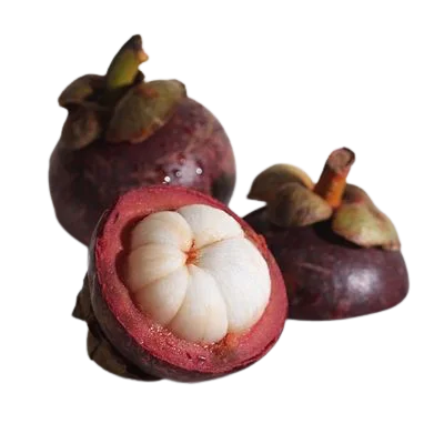  Свежие фрукты стандартного типа экспорт-фрукты мангостина самая низкая цена