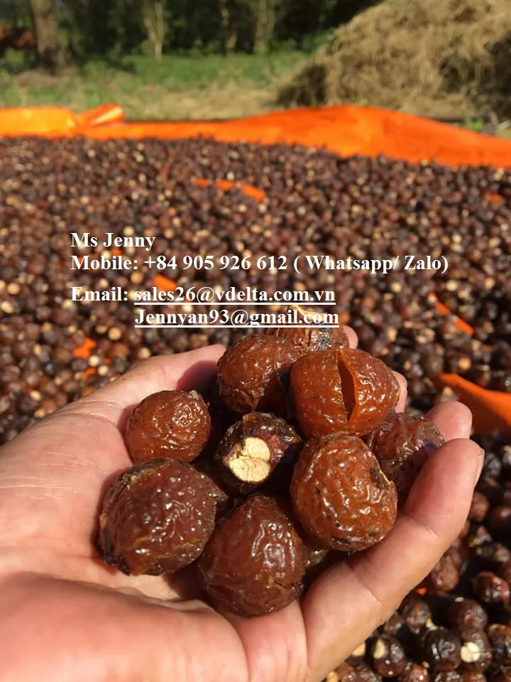  100% натуральная сушеная гайка для мытья посуды