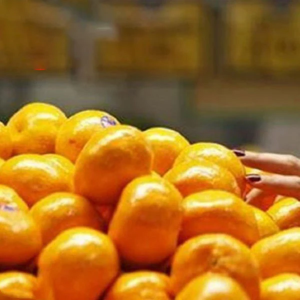 mandarin Oranges