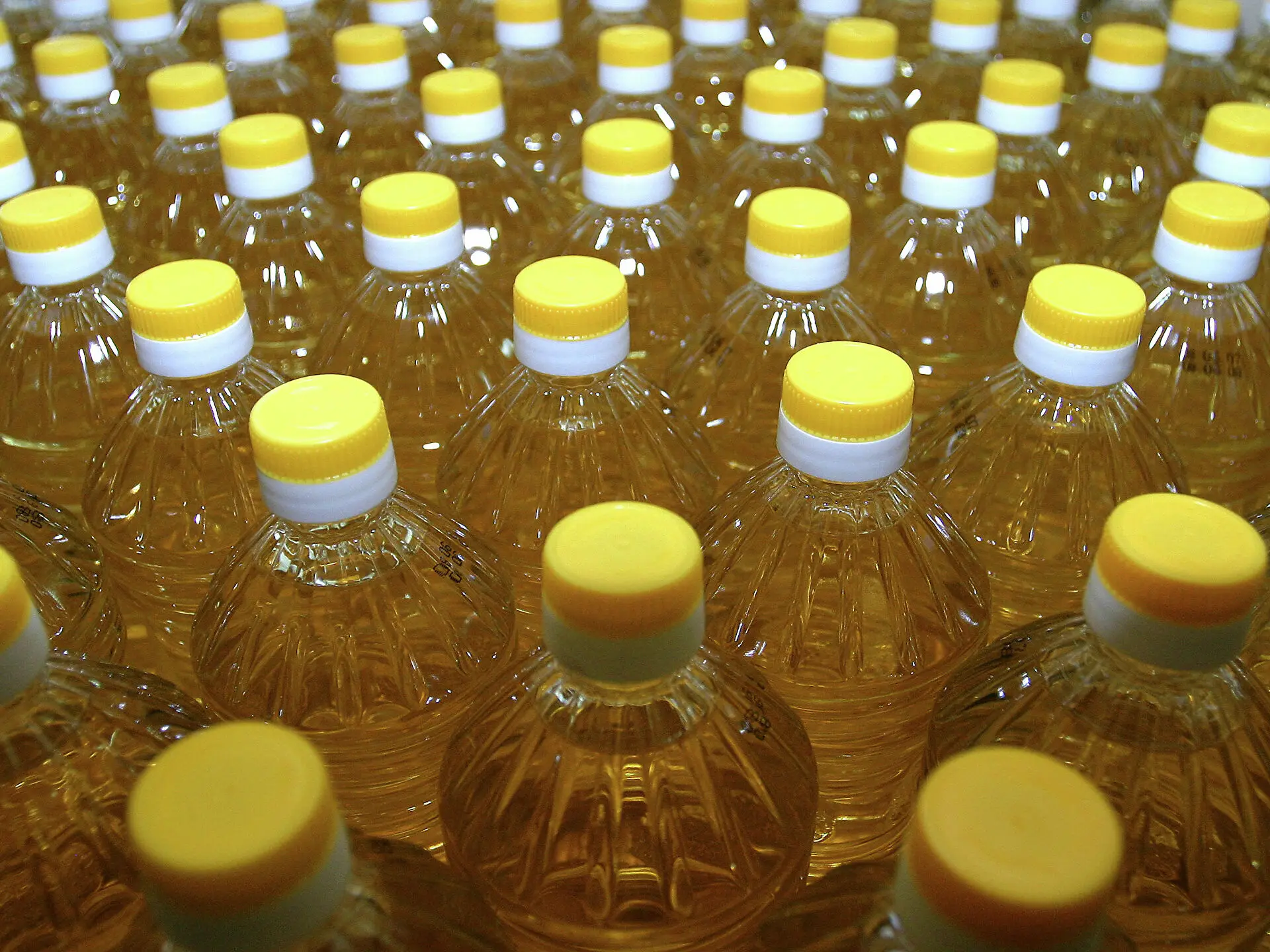 Sunflower Oil