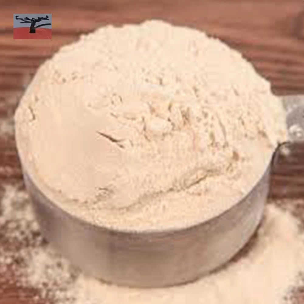 
New Product Vital Wheat Gluten Manufactured by Best Process 