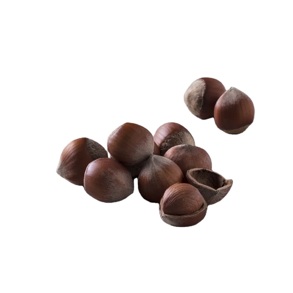 
 Высокое качество турецкие натурального фундука  