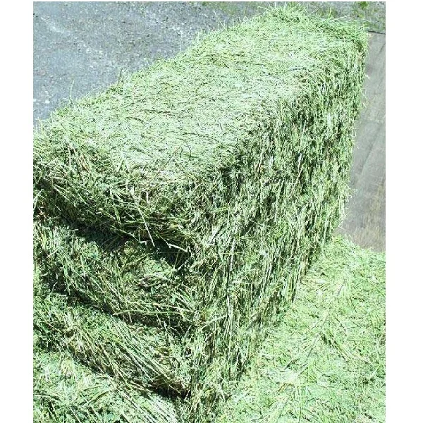 
High Quality Animal Feed Alfalfa Hay From Ukraine 