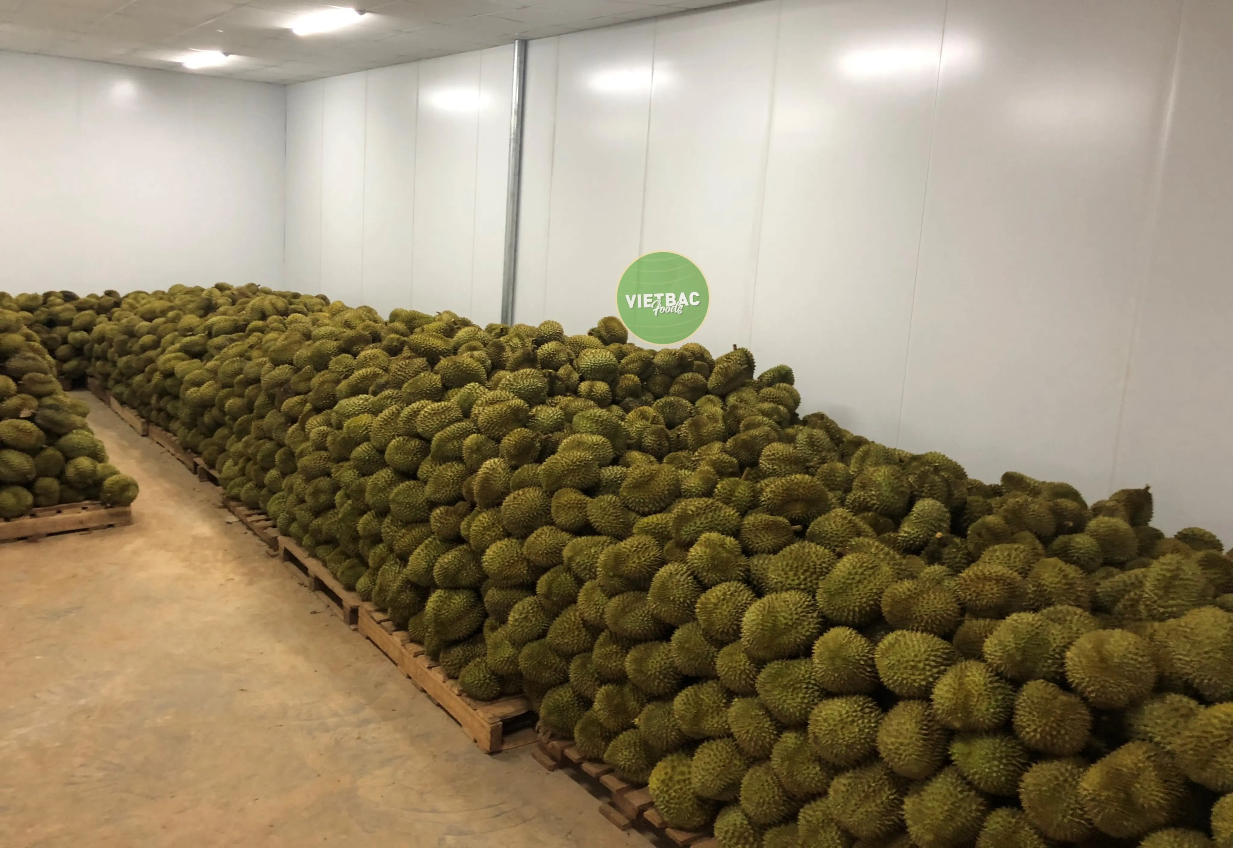 
Made In Vietnam Products Disposal Fresh Durian fruits 100% Money-Back Guarantee Hot Sale Now 