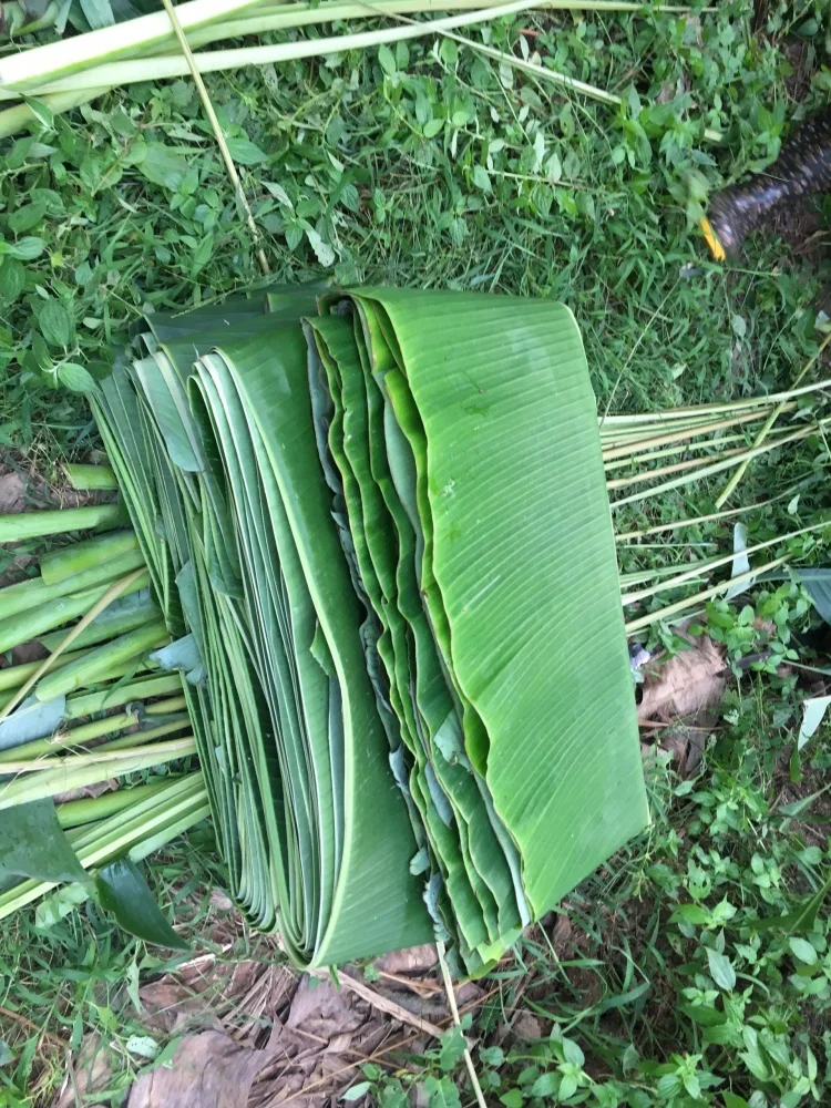Fresh Banana Leaves