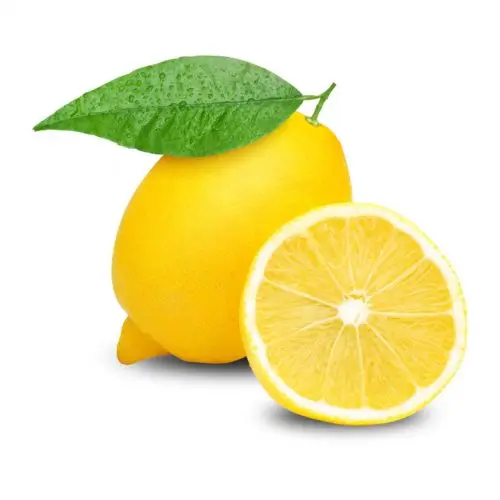 South Africa Wholesale Price High Quality Fresh Lemon