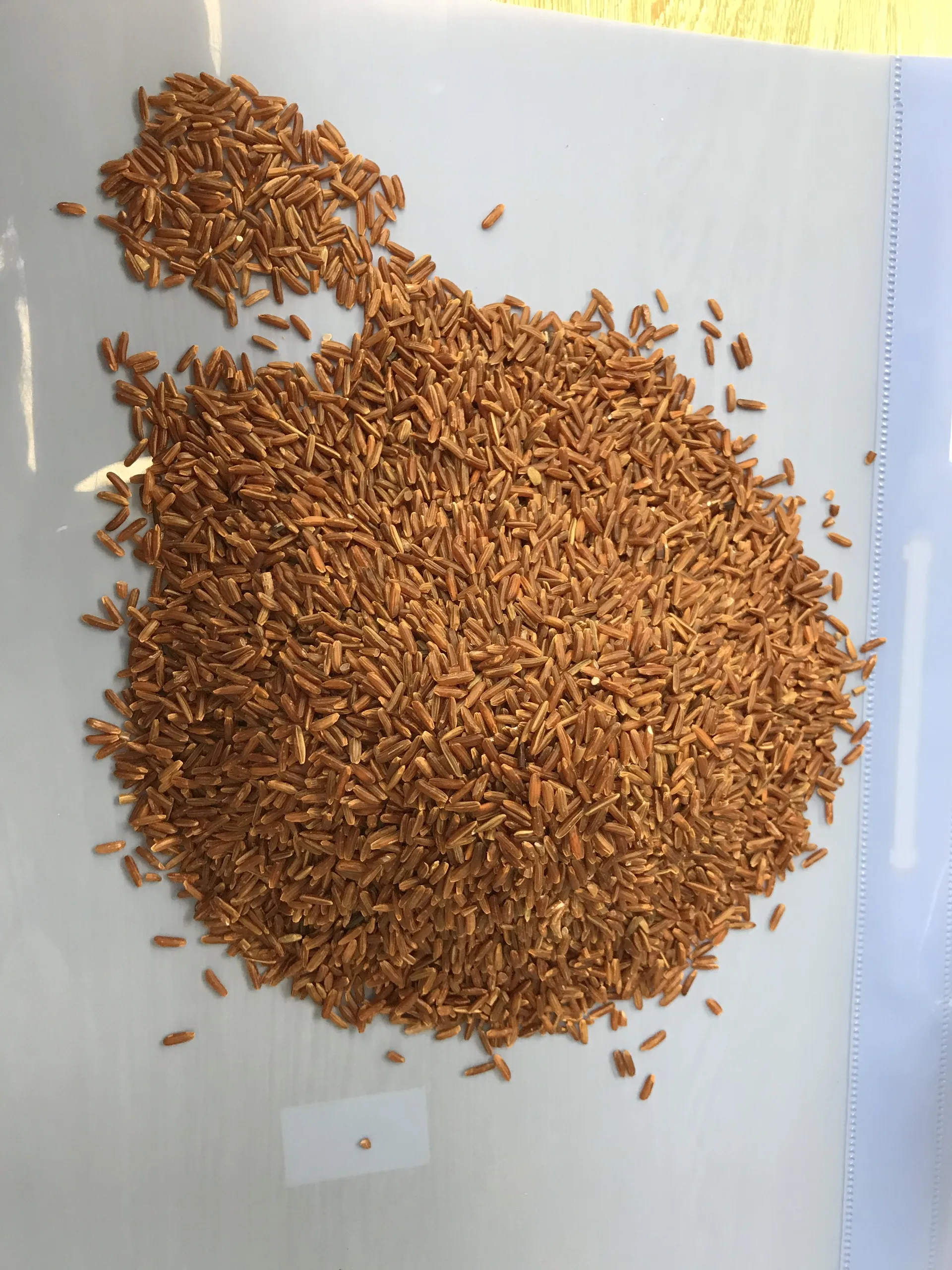 Top Quality New Product Export Large Quantity Five Percent Broken No Admixture Long Grain Red Vietnam Rice