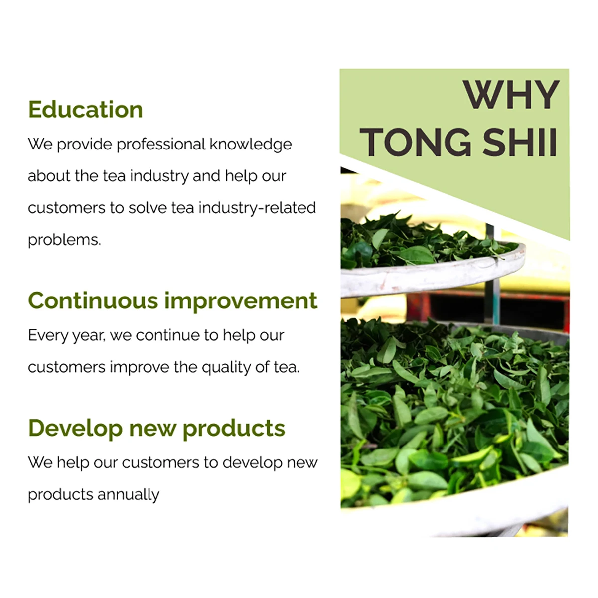 5 Stars Four Season Oolong Tea with Aluminum Bag