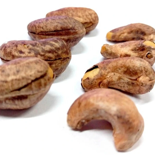 best cashew nut processing machine price