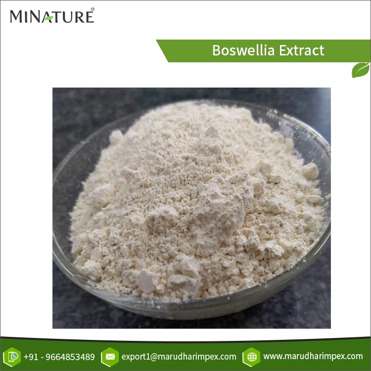 Top Notch Quality Most Selling 100% Pure Boswellia Serrata Gum Extract Powder Available in Customized Packaging
