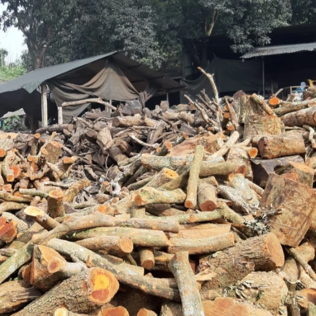 Natural ACACIA Wood Logs dried wood From Vienam firewood Kiln Dried FOR SALE WHATSAPP +84 966 523 629