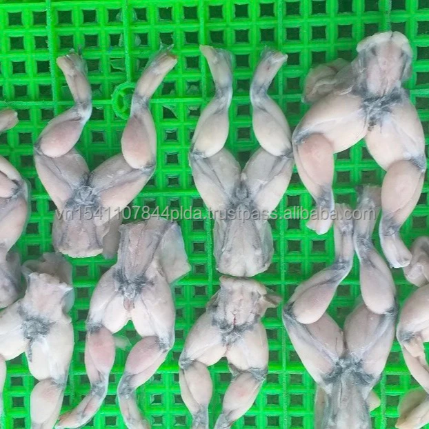 Best selling Frog Legs Frozen Food - no chemicals