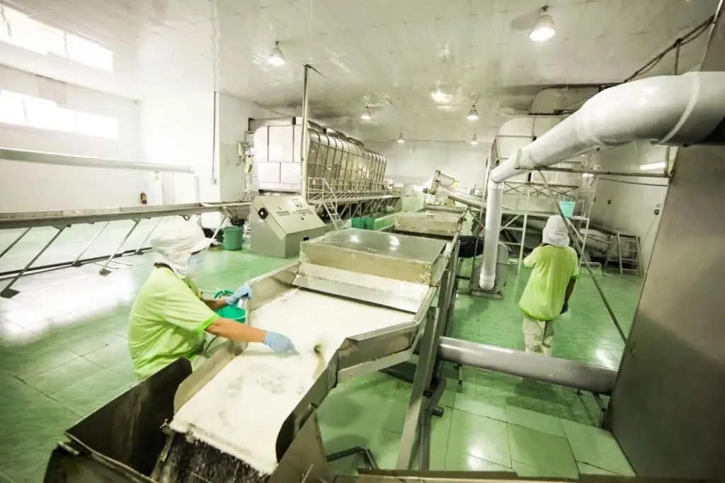 Осушенный кокосовый порошок с высоким содержанием жира тонкий/средний низкий уровень высокое качество Лучшая цена из Вьетнама