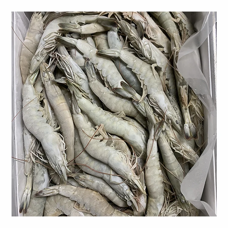 
Seafood Supplier Fresh White Shrimp or Raw Prawn 