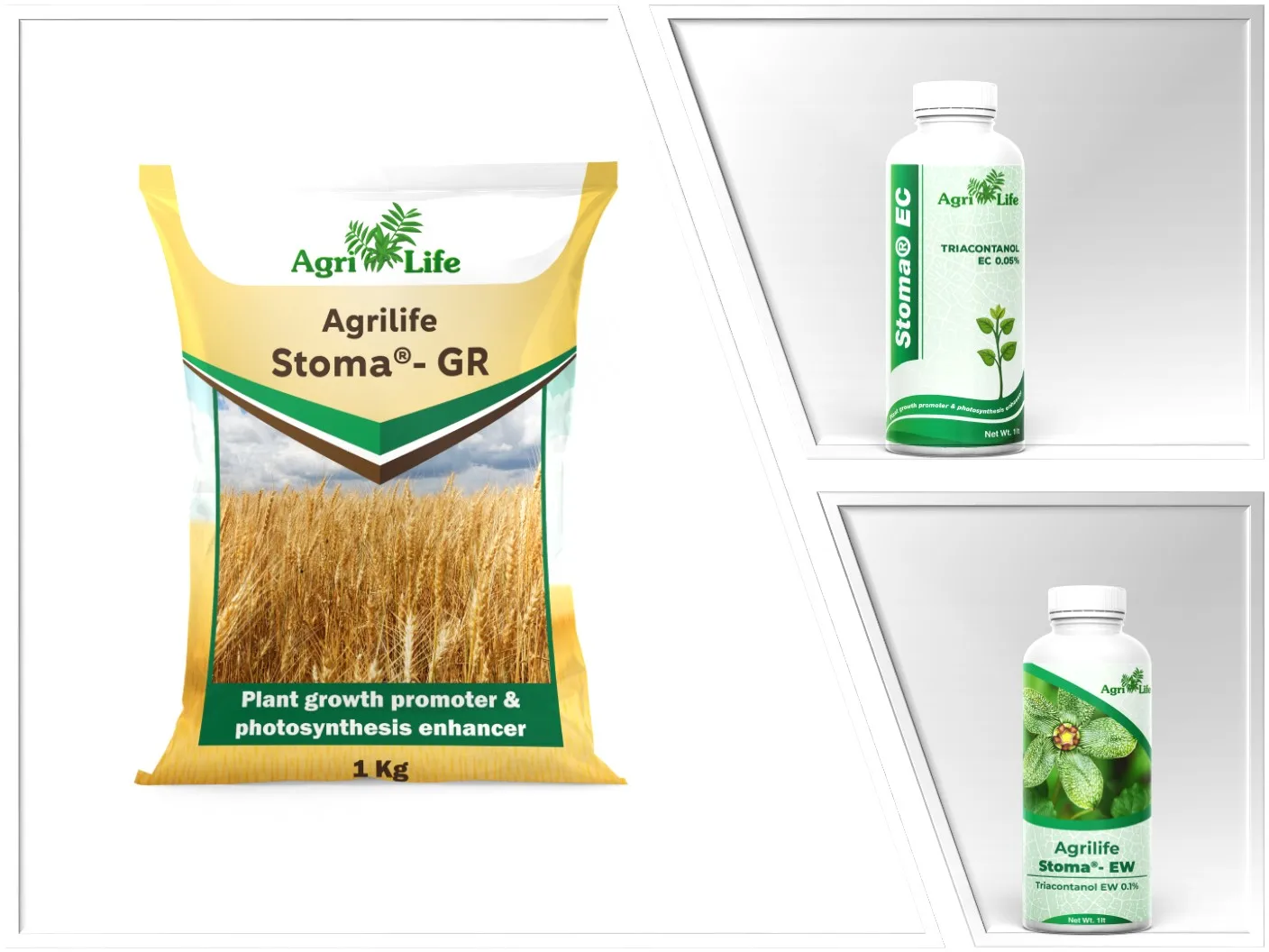 Порошковый органический Активатор роста растений для увеличения урожайности сельскохозяйственных культур индийский поставщик удобрений лучшего фотосинтеза