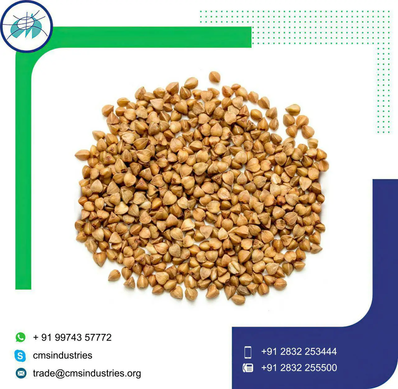  Семена гречихи высшего качества