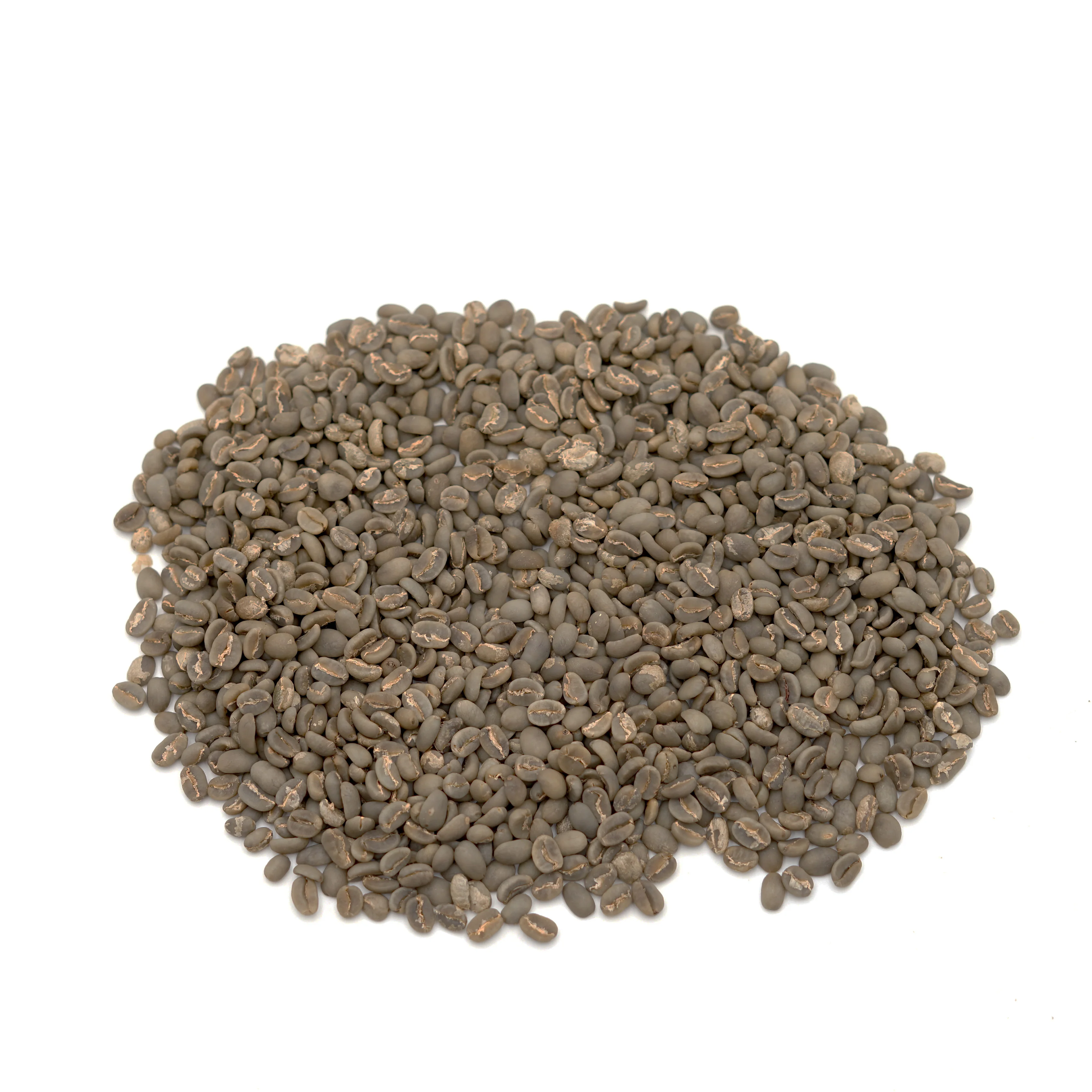 Best Quality Toraja Arabica Coffee Beans Indonesia