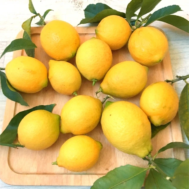 Top Quality Kinds of IQF frozen fruit lemon