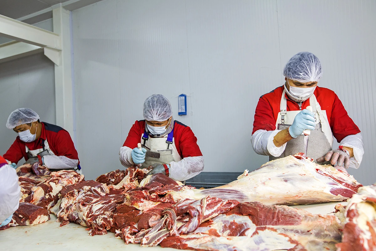 
Great taste Halal Beef Premium from Kazakhland 