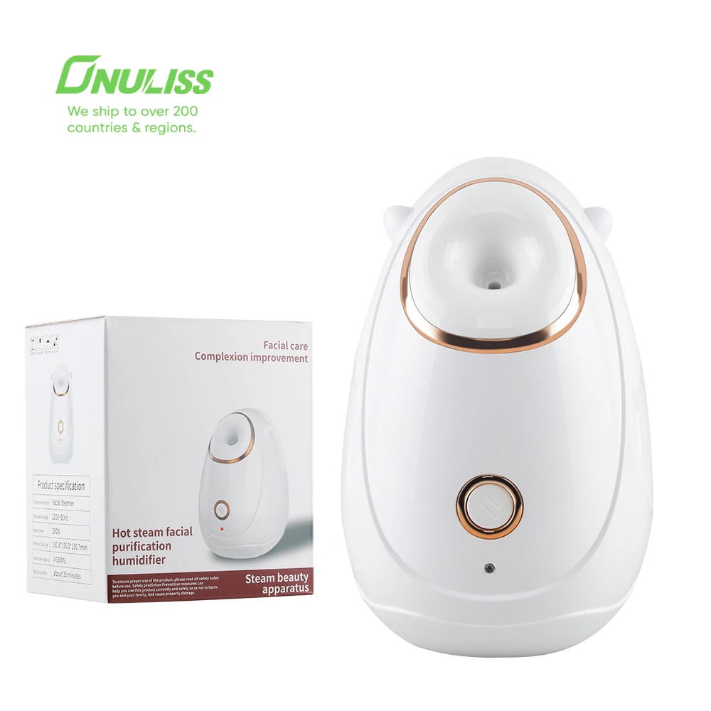 2 in 1 Tiny Facial Steamer Series Hot Nano Towel Warmer Mist Ionic Facial Spa Pink Facial Steamer with Lamp