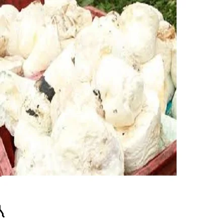 Лучшая цена 100% резиновая кружка высокого качества