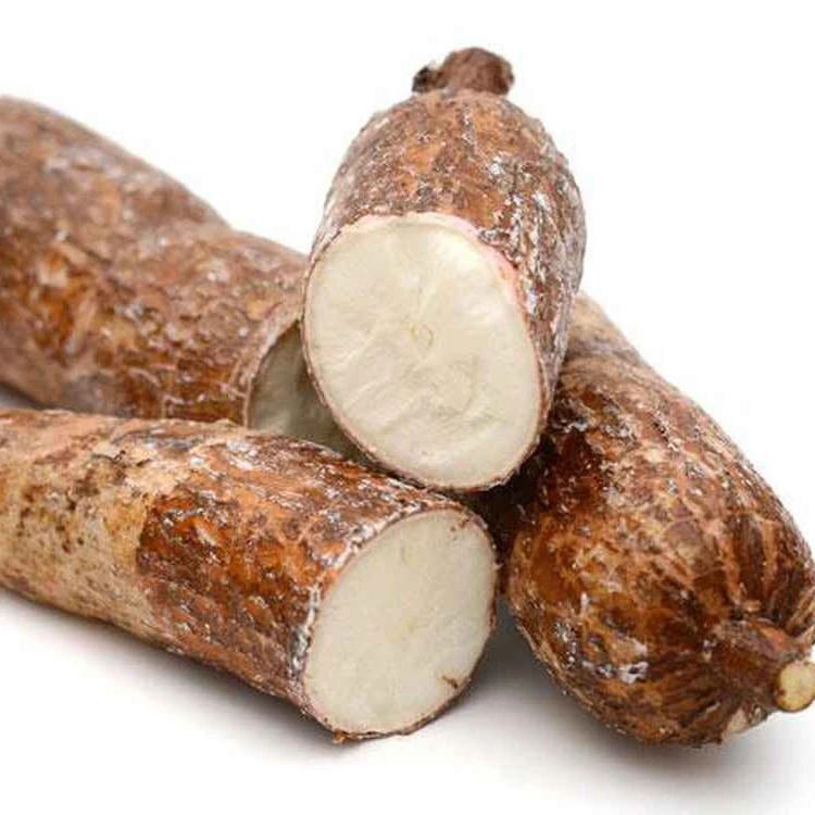 Best Price Fresh Cassava In Large Quantity With Export Standard