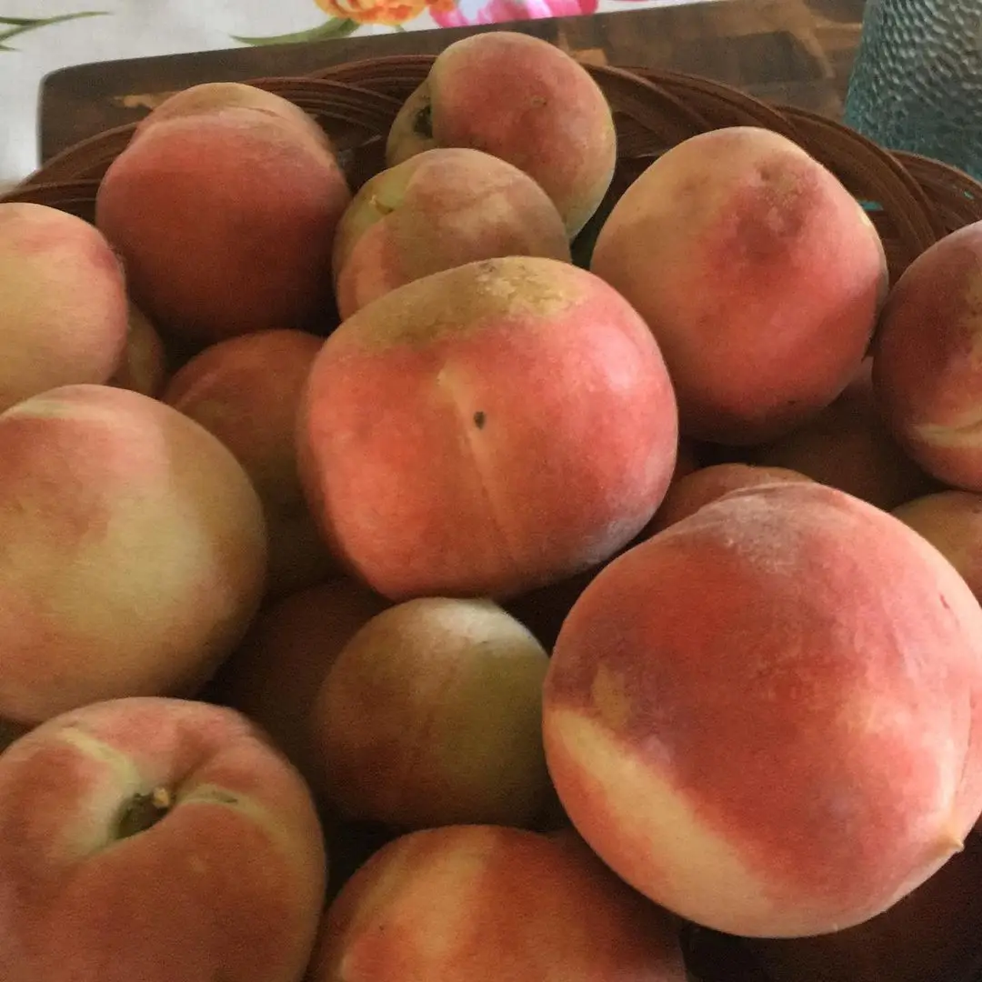 Свежий Персик по лучшей цене, свежий персик высокого качества