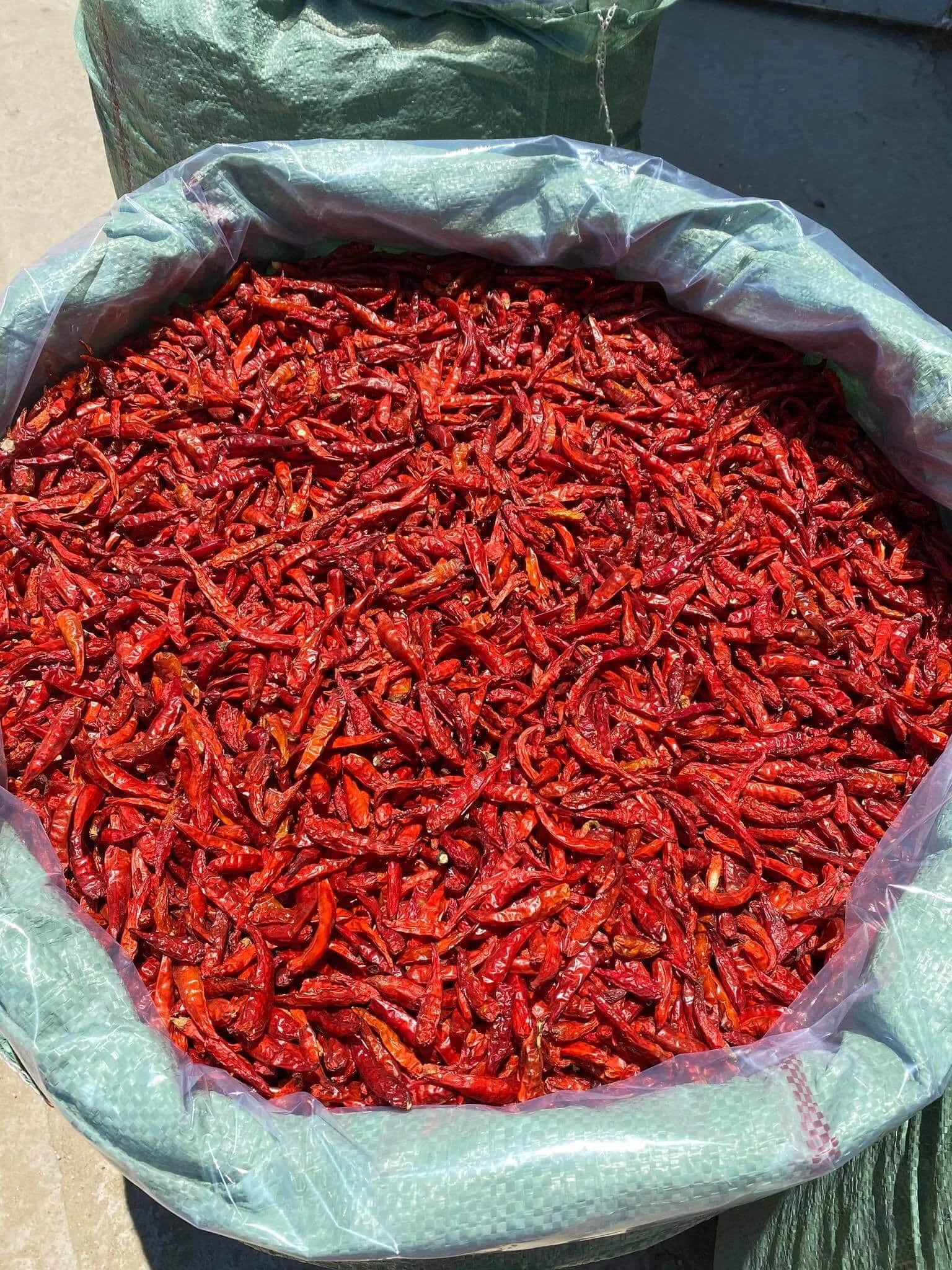 chili dried 99.jpg