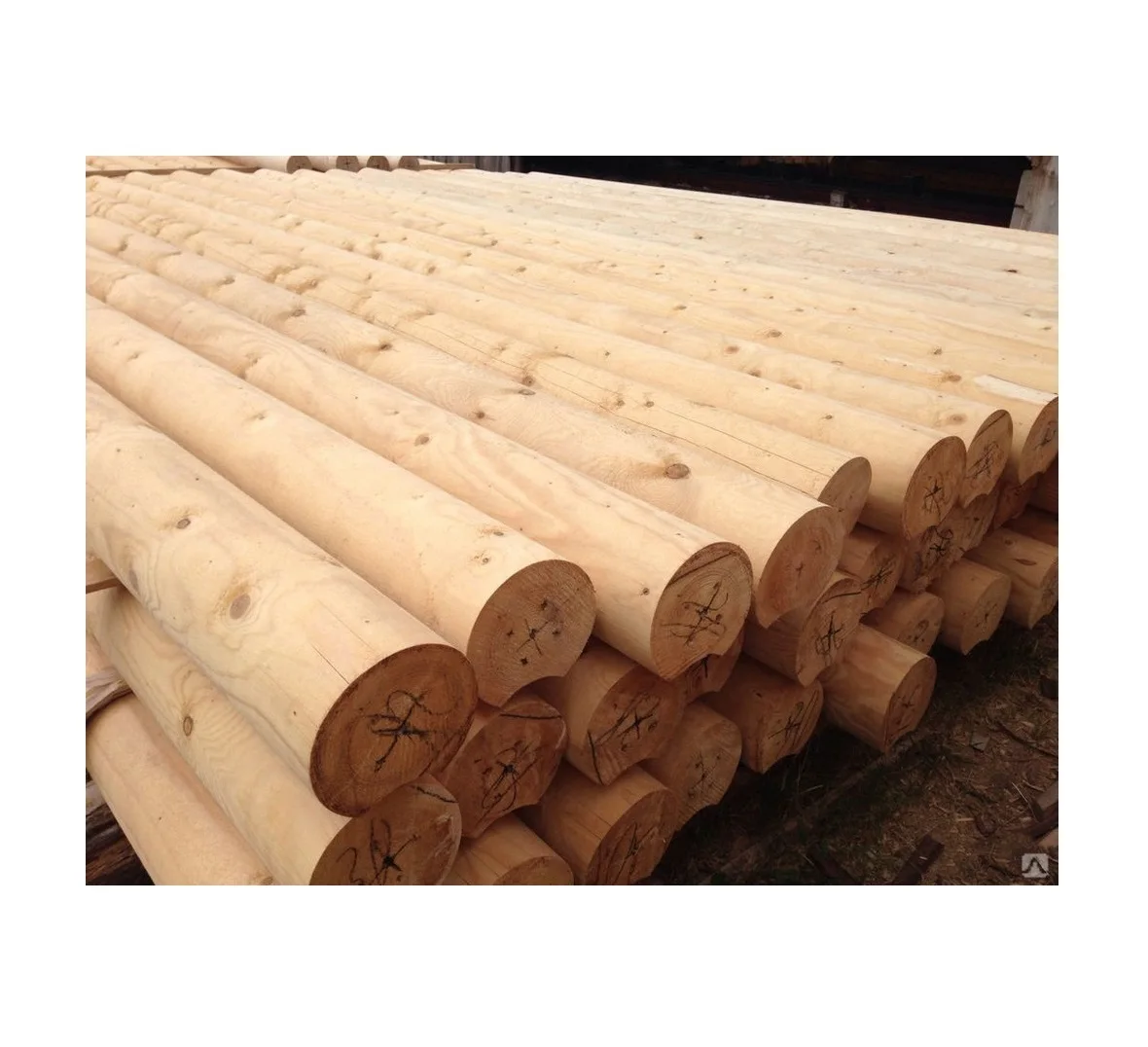 Best quality rounded wooden logs
