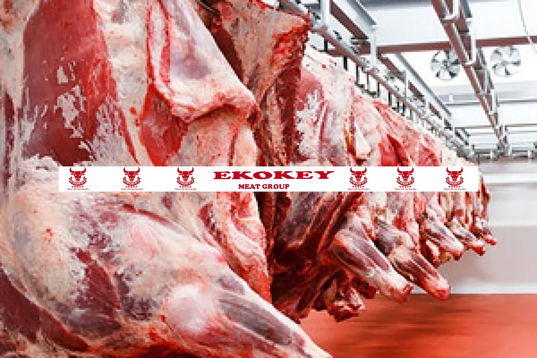 ORGANIC FRESH FROZEN BEEF CARCASS MEAT FROZEN PROCESSING HIGH QUALITY BEEF CARCASS MEAT ORIGIN MONTENEGRO