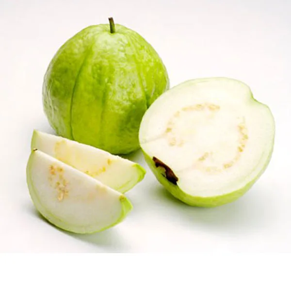 
Export guava good price per carton box 9kg 10kg net season 2020 