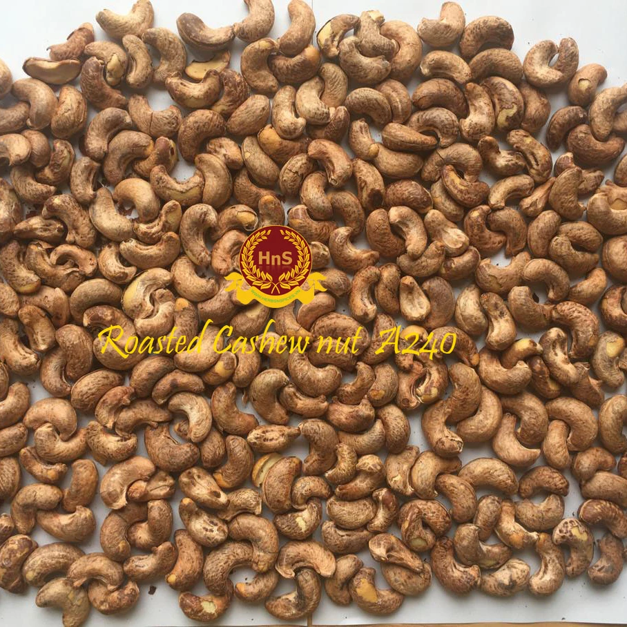 
Hight Quality Roasted Cashew Nut A240 Viet Nam 