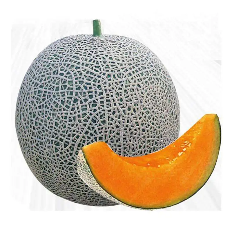 
Wholesale Pink Big Winter Melon/ Ash Gourd Wax Gourd Seeds 