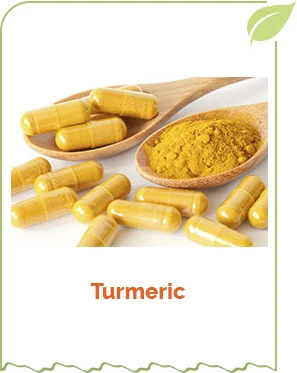 100% Vegan Gluten Free Turmeric Root Tea Bag Cut High Quality Unsweetened Organic Ayurvedic Turmeric Tea By FRESH MANTRA