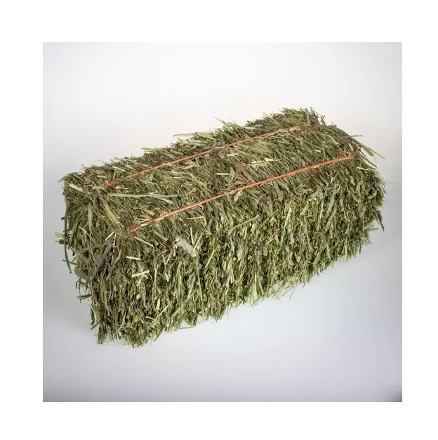 Best Price Of Cattle Feed Timothy Hay Bales  At Low Prices