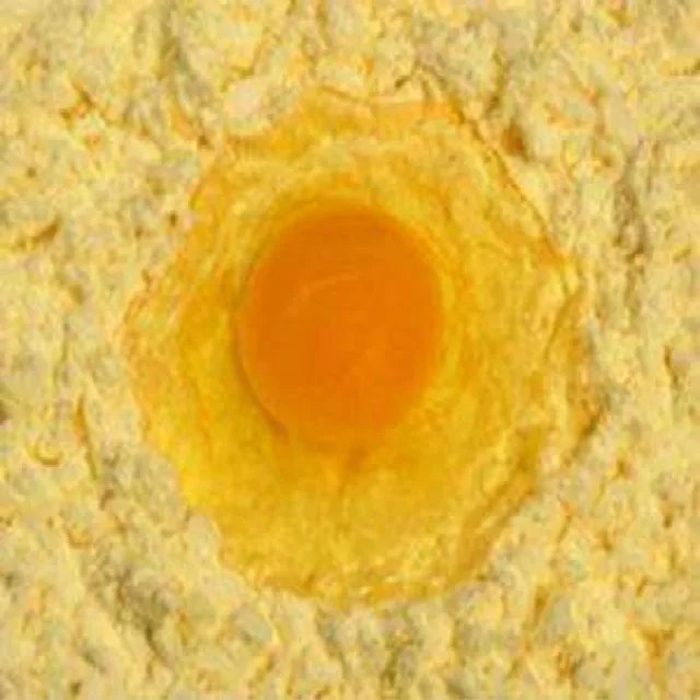 
EGG YOLK POWDER 
