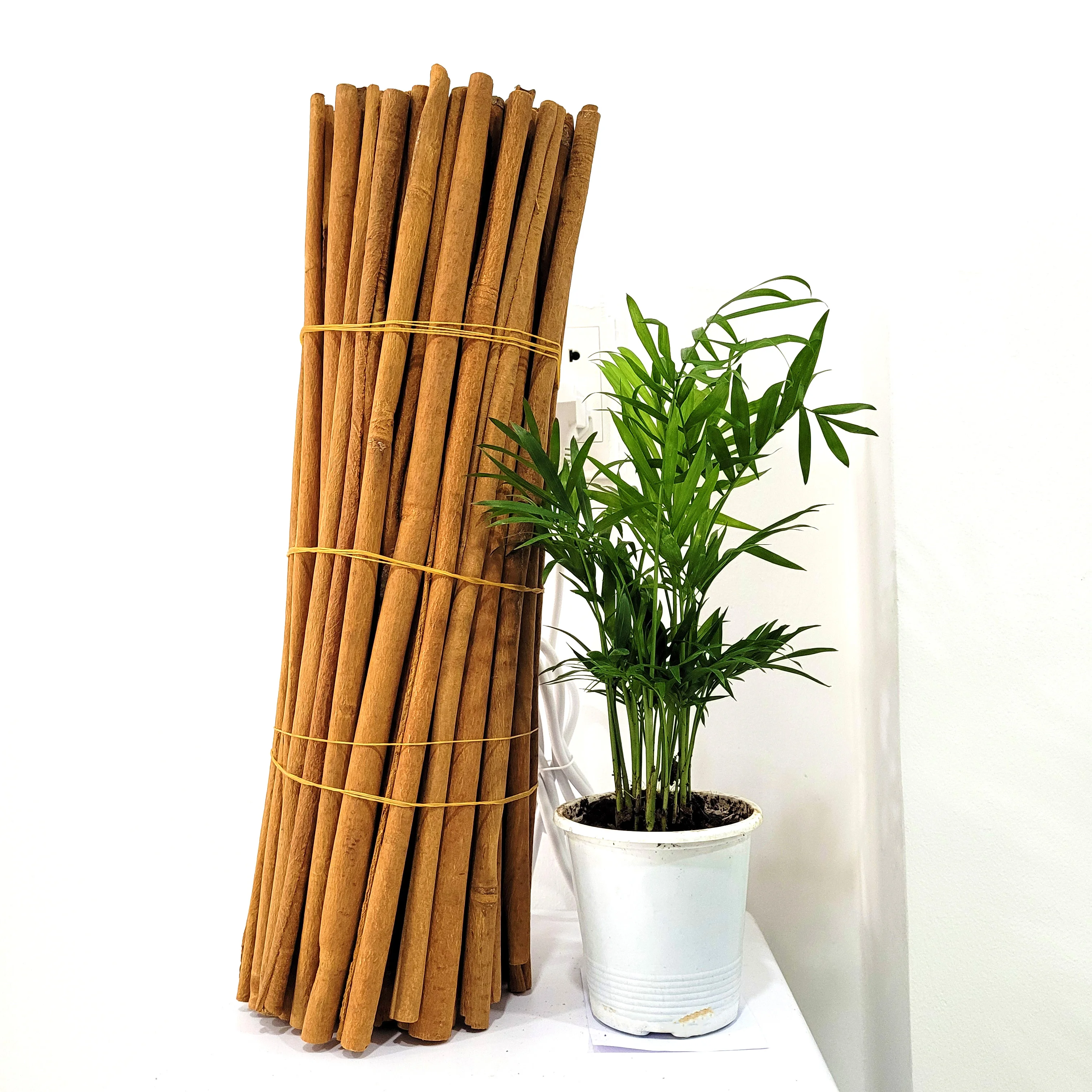 Long Stick Bastard Cinnamon / Canela de Cassia Cinnamon