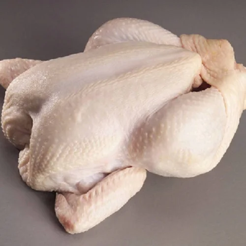 Chicken frozen for wholesales neck per kilo farming materials, Halal Frozen