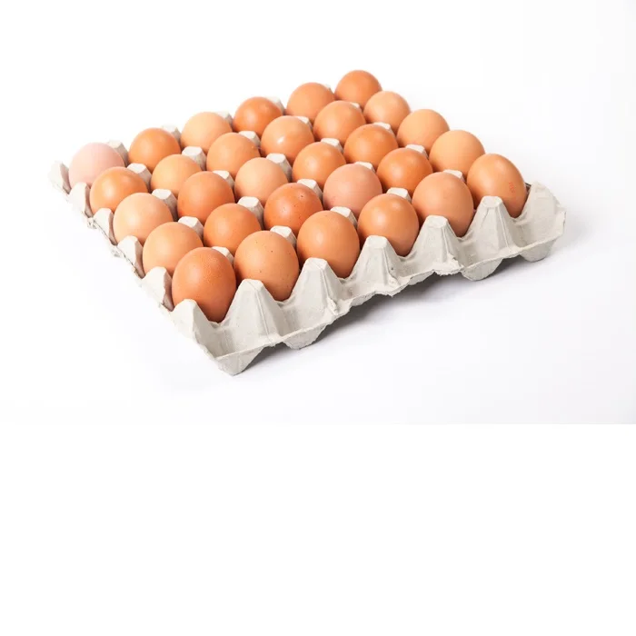 Свежие куриные яйца белые экспортные в Ирак ОАЭ Либерию Молдову Анголу Кипр Великобританию и Грецию.