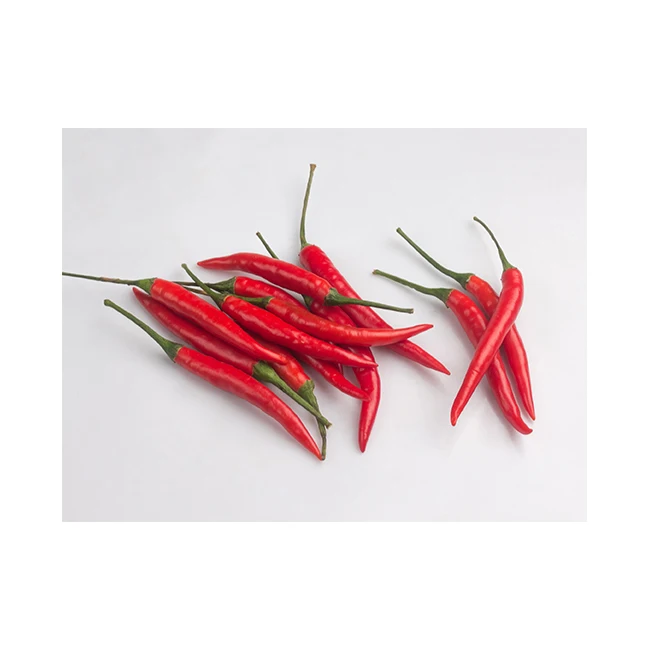
Fresh Red Chilli Spicy Delicious in Ogenic Farm HACCP , GMP Premium Quality from Thailand for 100% Export 